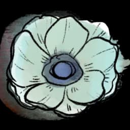 Anemone