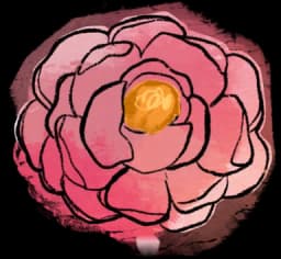 Peony