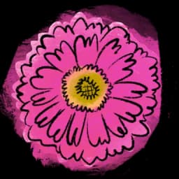 Zinnia